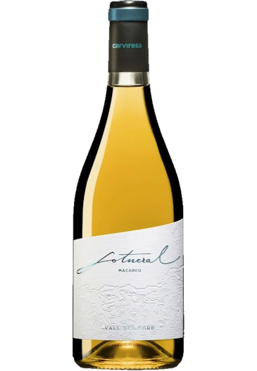 Spanischer Wein Sotneral 2023, Macabeu, Costers del Segre