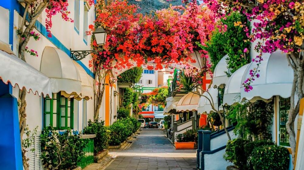 Spanische Gasse mit Bougainvillea – Mediterranes Flair | Über uns | La Bona Vida Spanische Gasse mit weißen Häusern und blühender Bougainvillea -Über uns– La Bona Vida